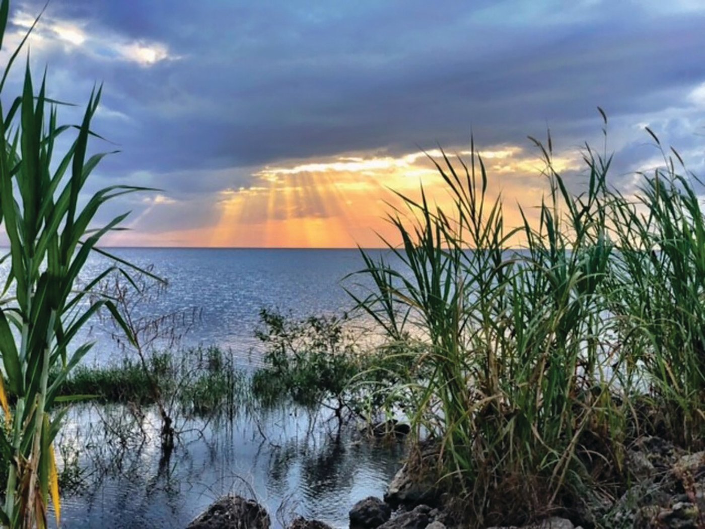 LAKE OKEECHOBEE – Lake Okeechobee, the second largest freshwater lake in the continental United States, is essential to the water supply for Florida’s east coast.